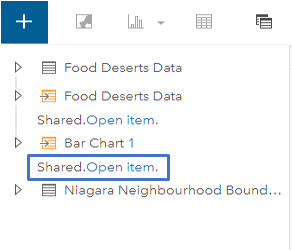 picture of the shared.Open item in the data pane